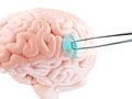 Brain chip concept Royalty Free Stock Photo