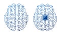 Brain Circuit, Intricate Network Of Neurons Connected By Synapses, Forming Pathways For Information Processing