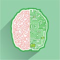 Brain Circuit vector