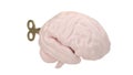 Brain with clockwork key Isolated On White Background, 3D rendering. 3D illustration Royalty Free Stock Photo