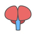 Brain color icon. Isolated vector illustration on white background. Royalty Free Stock Photo