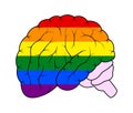 Brain in LGBT colors on white background