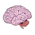 Brain. Comics Drawing. Vector Illustration Royalty Free Stock Photo