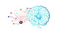 Brain with Connected Circuits AI & Learning, vector design Generative AI Royalty Free Stock Photo