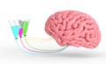 Brain control of human hormones and emotions. 3d illustration