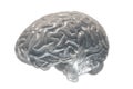 Brain covered with dust