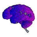 Brain. Cyber brain. Vector illustration isolated on white background. Royalty Free Stock Photo