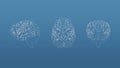 Brain 3d blueprint mesh model on a blue background. Front view orthographic and perspective free style render, 3d rendering