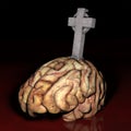 Brain Dead Royalty Free Stock Photo