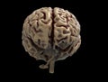 Brain detail in Human anatomy isolated in black background - 3d render Royalty Free Stock Photo