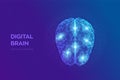 Brain. Digital brain with binary code. 3D Science and Technology concept. Neural network. IQ testing, artificial intelligence Royalty Free Stock Photo