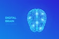 Brain. Digital brain with binary code. 3D Science and Technology concept. Neural network. IQ testing, artificial intelligence Royalty Free Stock Photo