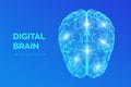 Brain. Digital brain. 3D Science and Technology concept. Neural network. IQ testing, artificial intelligence virtual emulation