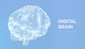 Brain. Digital brain. 3D Science and Technology concept. Neural network. IQ testing, artificial intelligence virtual emulation