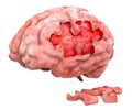 Brain disease or destruction concept. 3D Royalty Free Stock Photo