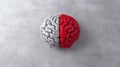 Brain divided into ethical and unethical thought zones on a textured background Royalty Free Stock Photo
