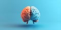 Brain divided into logical and creative hemispheres on blue background 3D render. Concept Anatomy, Royalty Free Stock Photo