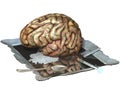 Brain on Drugs Royalty Free Stock Photo