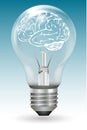 Brain in electric bulb Royalty Free Stock Photo