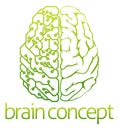 Brain electrical circuit design
