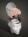 Brain with electricity plug connected to the human head