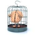 Brain escape from the birdcage Royalty Free Stock Photo