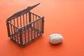 Brain escape from cage on orange background with copy space. Think outside the box, creativity idea, human rights or freedom