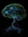A brain evolves into a vibrant tree, featuring luminous branches and roots, symbolizing the connection between knowledge