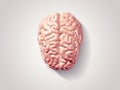 Brain faceted Royalty Free Stock Photo