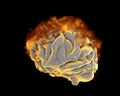 Brain in fire, conceptual image for psychological burnout