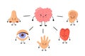 Brain and five human senses organs kawaii characters. Nose, ear, hand, tongue and eye. Cute sensory organs. See, hear Royalty Free Stock Photo