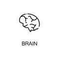 Brain flat icon