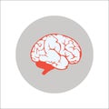 Brain flat icon Vector Royalty Free Stock Photo