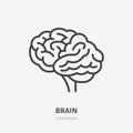 Brain flat line icon. Vector thin pictogram of human internal organ, outline illustration for neurology clinic
