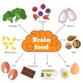 Brain food vector flat infographics
