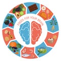 Brain Foods infographics