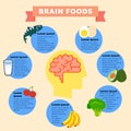 Brain Foods infographics