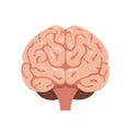 Brain front view icon
