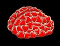 Brain full of love Royalty Free Stock Photo