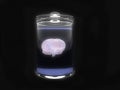 Brain in glas Royalty Free Stock Photo