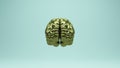 Brain Gold Bronze Front Old Brass Anatomy Mind Power Reflection