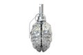 Brain grenade closeup, 3D rendering Royalty Free Stock Photo