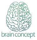 Brain half electrical circuit board concept