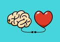 The Brain and the heart connected with a cable. Vector Illustration
