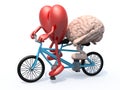 Brain and heart riding tandem bicycle Royalty Free Stock Photo