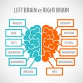 Brain hemispheres infographics Royalty Free Stock Photo