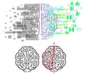 Brain hemispheres maze vector