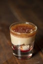 Brain Hemorrhage shot cocktail with schnapps, baileys irish cream and grenadine