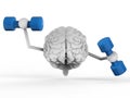 Brain holding dumbbells Royalty Free Stock Photo