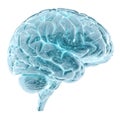 Brain hologram icon 3D render isolated on white background